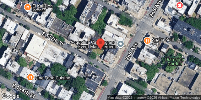 Aerial map of 247 EAST 117 STREET, Manhattan