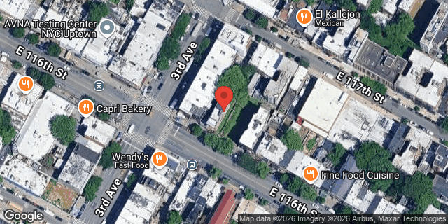 Aerial map of 203 EAST 116 STREET, Manhattan