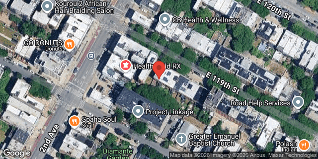 Aerial map of 310 EAST 119 STREET, Manhattan