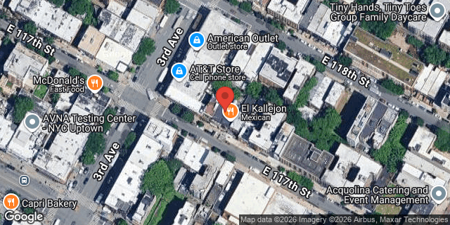 Aerial map of 207 EAST 117 STREET, Manhattan