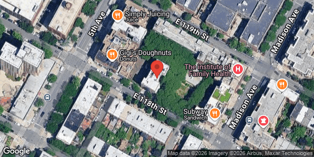 Aerial map of 9 EAST 118 STREET, Manhattan