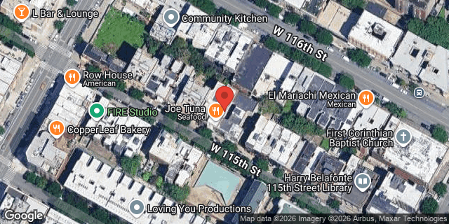 Aerial map of 233 WEST 115 STREET, Manhattan