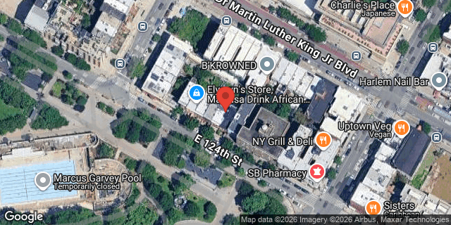 Aerial map of 9 EAST 124 STREET, Manhattan