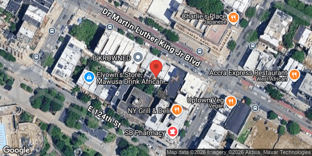Aerial map of 20 EAST 125 STREET, Manhattan