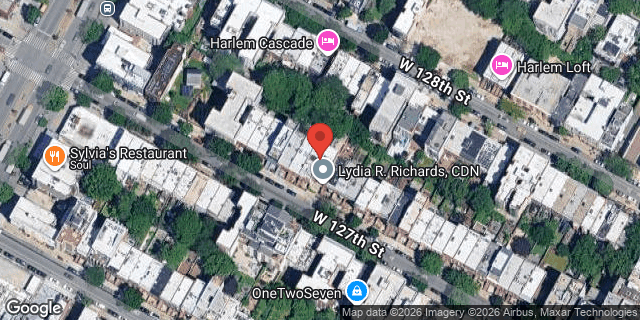 Aerial map of 51 WEST 127 STREET, Manhattan