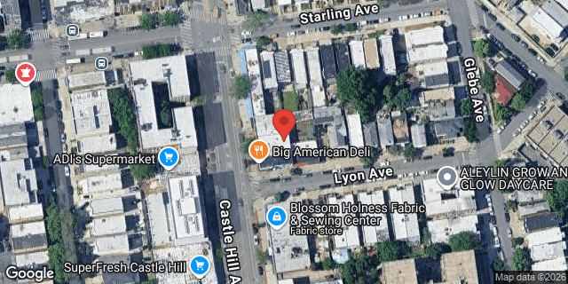 Aerial map of 1404 CASTLE HILL AVENUE, Bronx