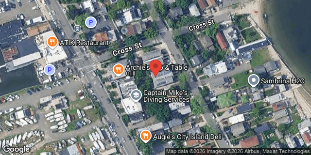 Aerial map of 533 MINNIEFORD AVENUE, Bronx