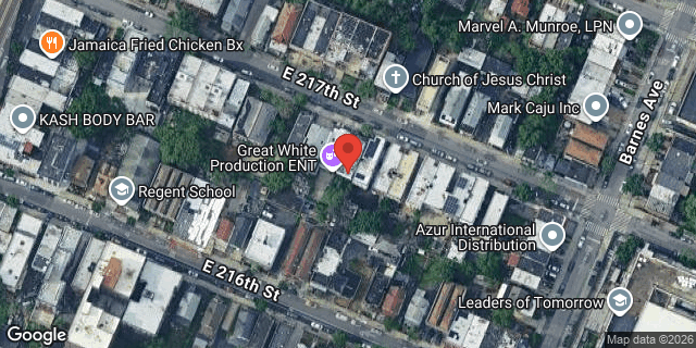 Aerial map of 746 EAST 217 STREET, Bronx