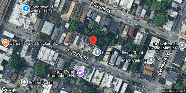 Aerial map of 745 EAST 217 STREET, Bronx