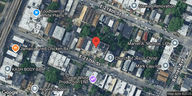 Aerial map of 741 EAST 217 STREET, Bronx