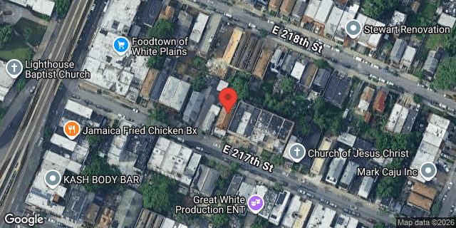 Aerial map of 729 EAST 217 STREET, Bronx