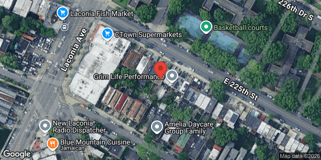 Aerial map of 1120 EAST 225 STREET, Bronx