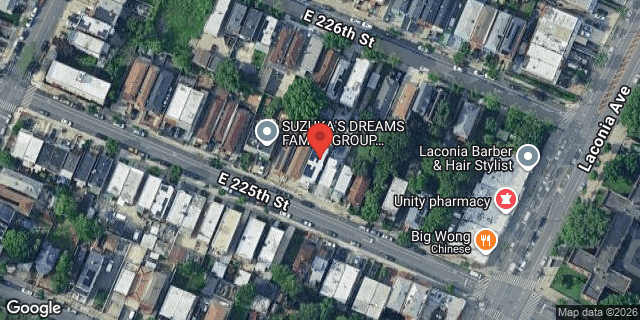 Aerial map of 1033 EAST 225 STREET, Bronx