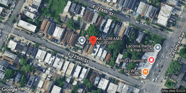 Aerial map of 1043 EAST 225 STREET, Bronx
