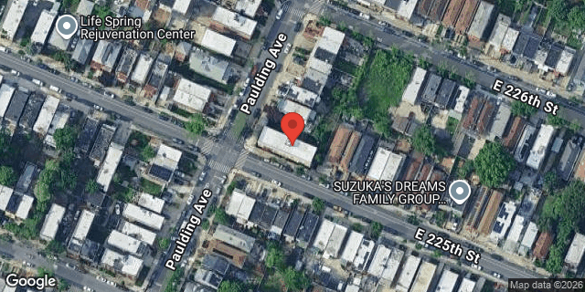 Aerial map of 1009 EAST 225 STREET, Bronx