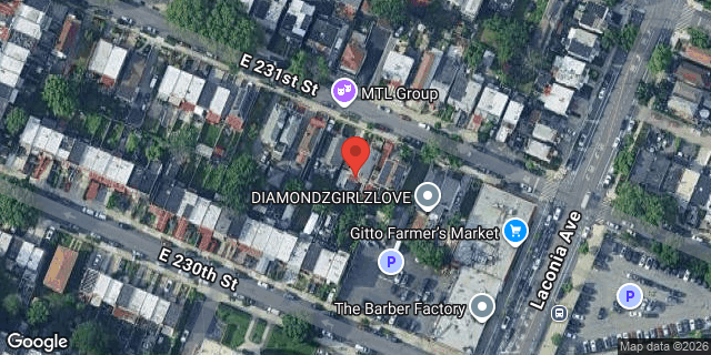 Aerial map of 1050 EAST 231 STREET, Bronx