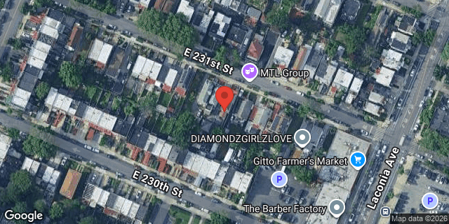 Aerial map of 1036 EAST 231 STREET, Bronx